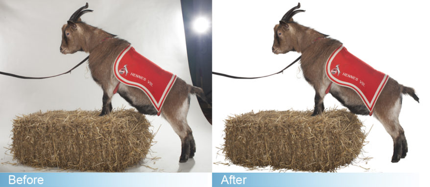 clipping path service provider